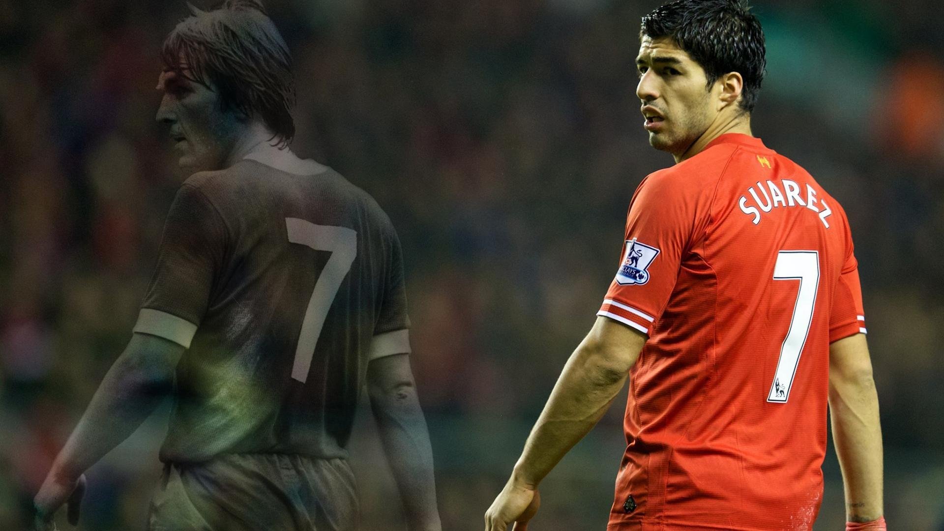 _鹈鹕不断磨合，实力逐步提升_，鹈鹕秒懂