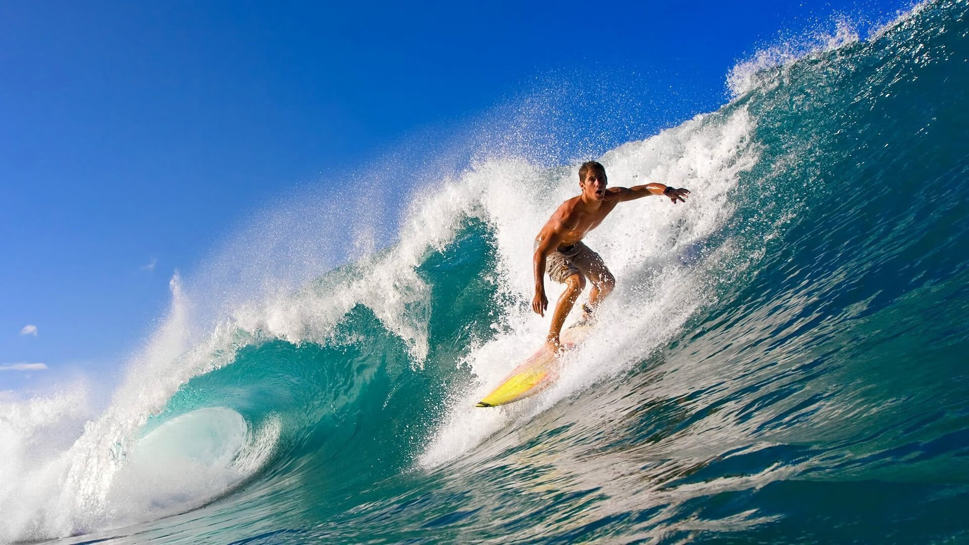 电竞行业冠军企业评选结果公布，发掘行业领军者，电竞冠军有哪些